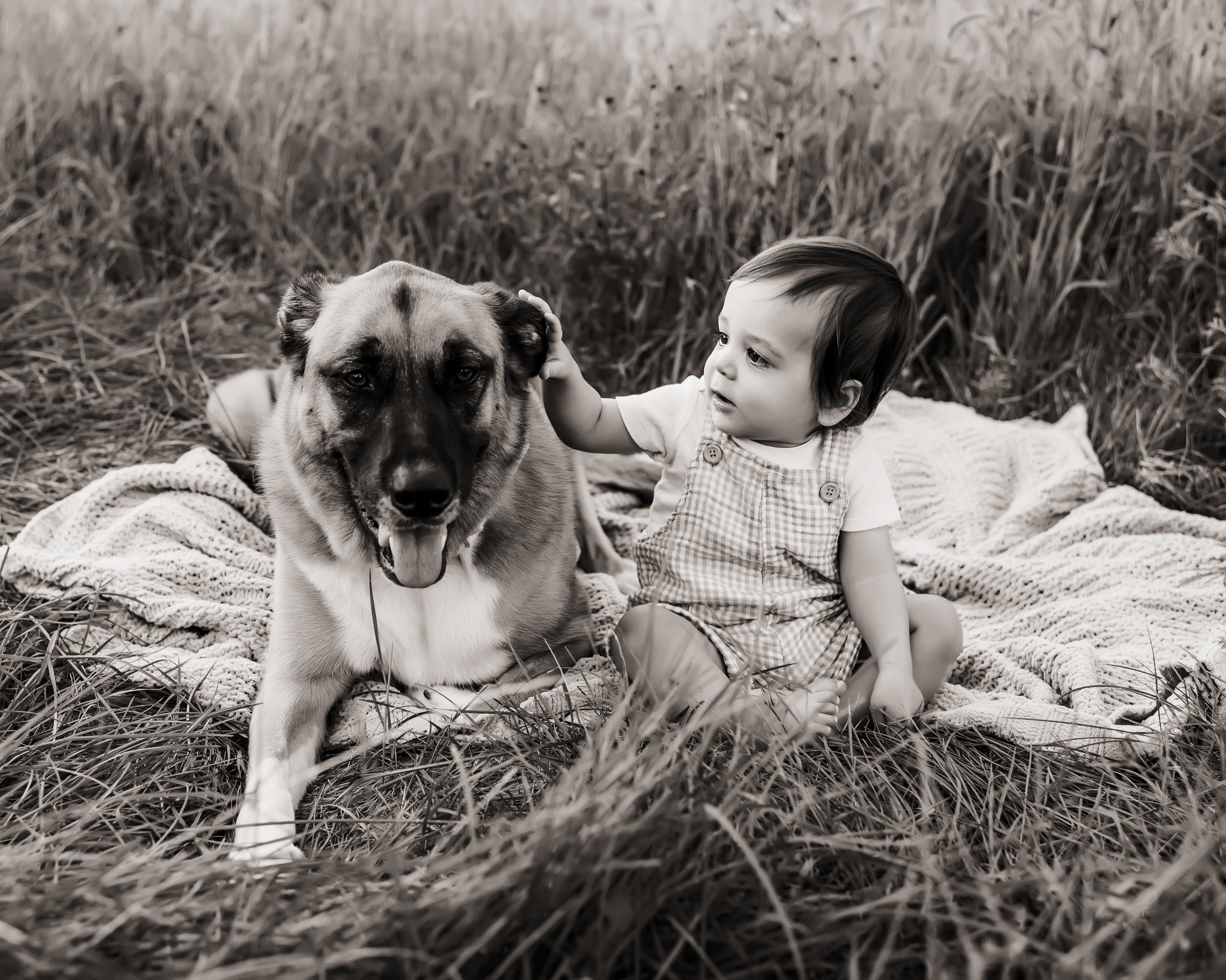 black and white baby with dog.jpg